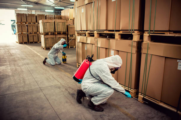 Best Bed Bug Extermination  in Heber, CA
