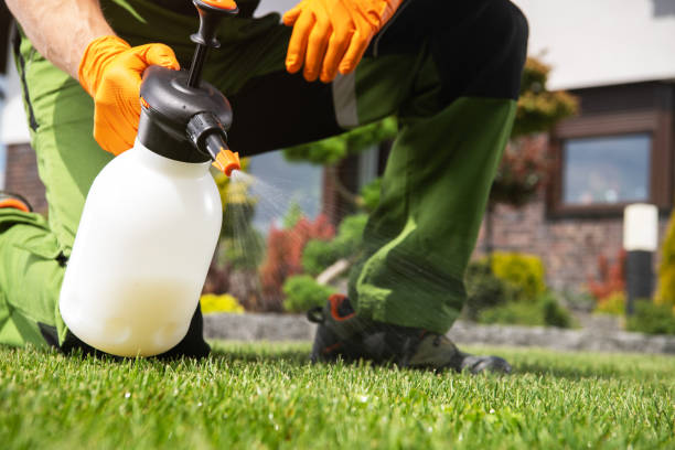 Best Mosquito Control Services  in Heber, CA