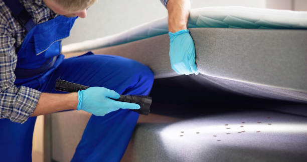 Best Rat Extermination Near Me  in Heber, CA