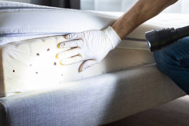 Best Commercial Pest Control Services  in Heber, CA